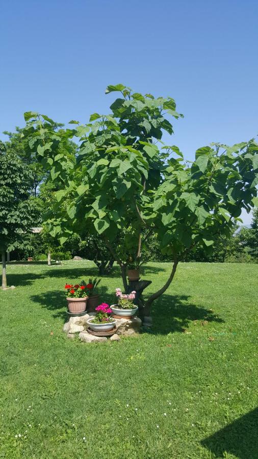 Country House Bucaneve Rovolon Экстерьер фото